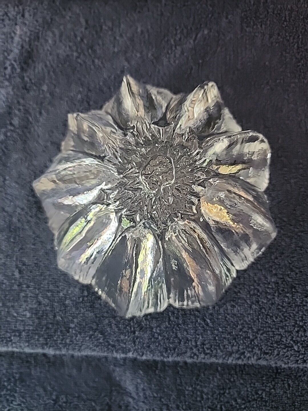 Picture 4 of 12