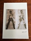 Foto 2 di 13