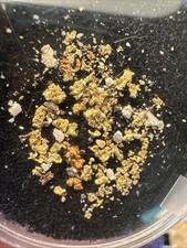 CALIFORNIA  GOLD  Natural Crystal SPECIMENS  2.6 cts 95%+ Purity  RED LAKE MINE