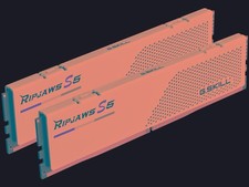 G Skill F55200J4040A24GX2RS5W Ripjaws RAM 48gb (2 x 24gb)