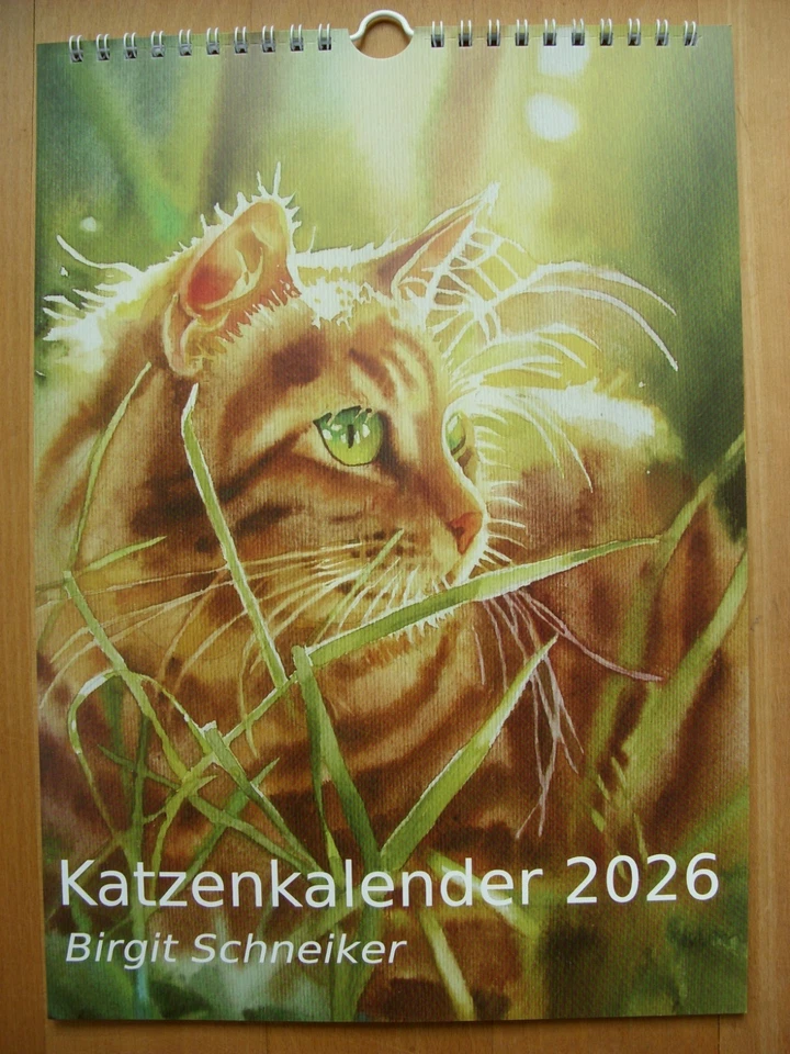 Katzenkalender 2026 mit Aquarellen von Birgit Schneiker DIN A4