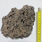 Foto 2 di 9