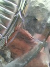 Photo 5/11
