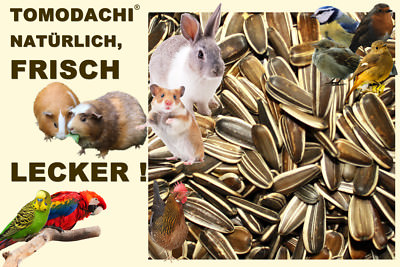 Nagerfutter Sonnenblumenkerne extragroß Kaninchen Hamster Ratte Maus 10kg Sack