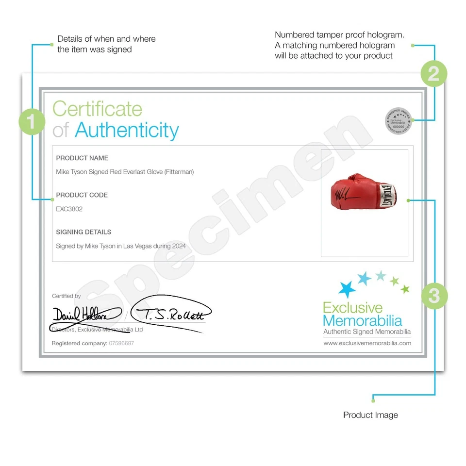 Roter Boxhandschuh signiert von Mike Tyson. In Vitrine mit Plakette - Bild 3 von 3