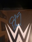 2026 FANATICS UNDER WRAPS WWE SIGNED TURNBUCKLE CM PUNK /5! — photo 2