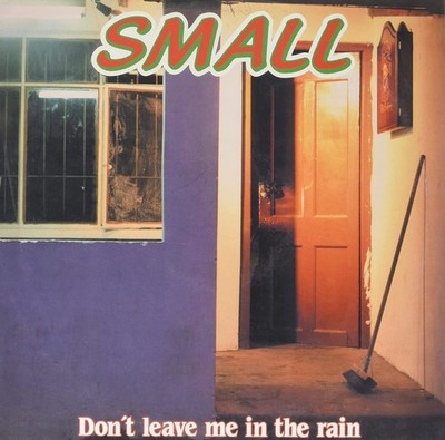 Vinile - Small - Don't Leave Me In The Rain  - Re:warm -D- Neu