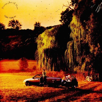 Matt Maltese - Driving Just To Drive (Vinyl LP - 2023 - EU - Original)