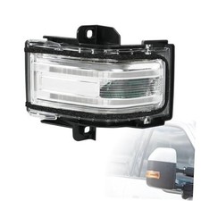 Door Tow Mirror Turn Signal LED Lights Passenger 1PCS Passenger Right Side