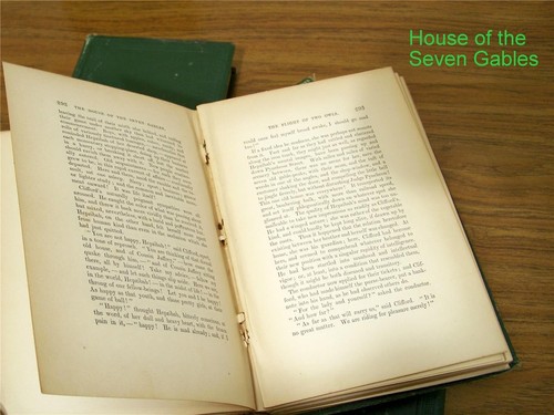 The Works of NATHANIEL HAWTHORNE 7 Volumes Copyright 1860-1881 Houghton, Mifflin - Picture 11 of 12