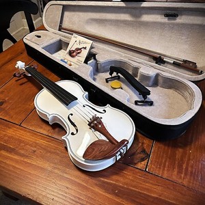 Violin Scott Cao for sale | eBay
