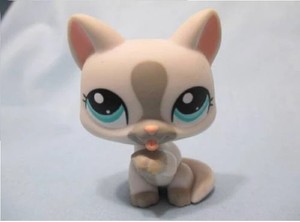 lps paw up cat numbers