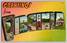 Large Letter Greetings from VIRGINIA VA Vintage Linen Postcard Unused