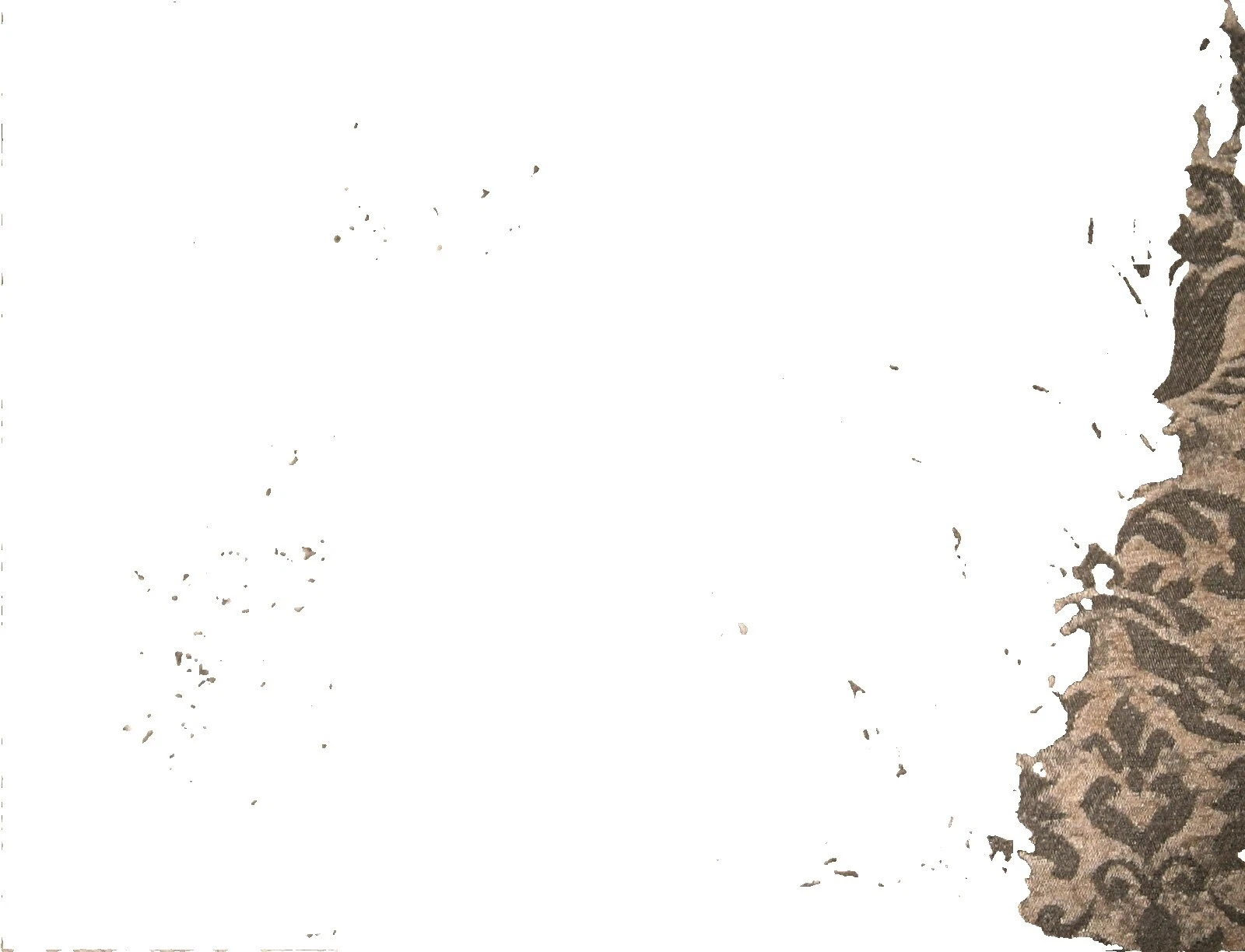 挂毯花卉棕色面料