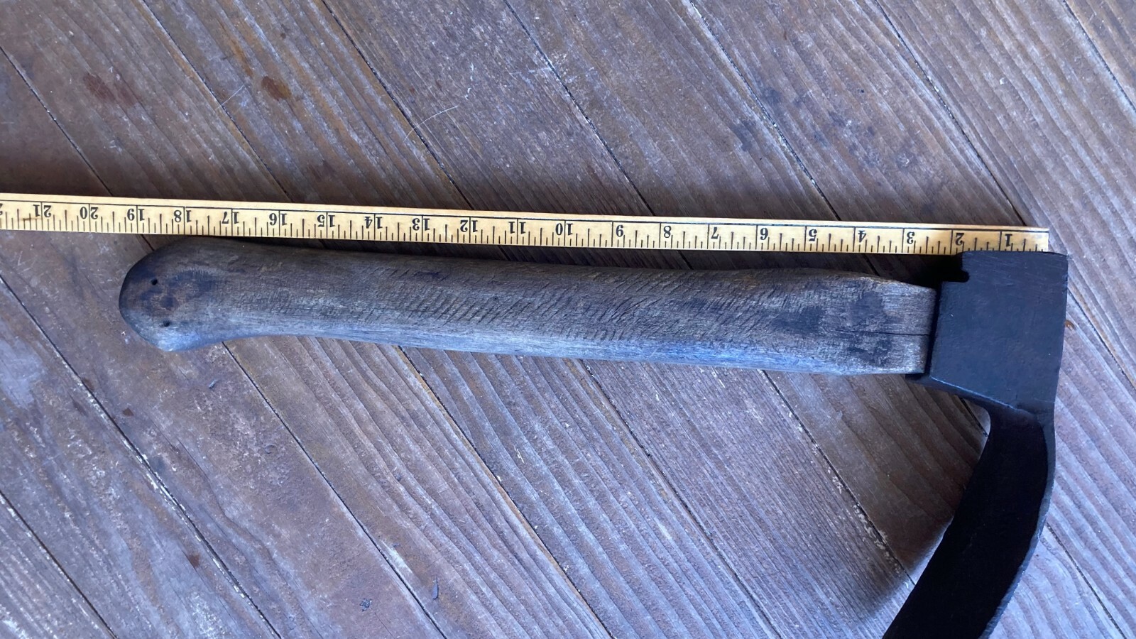 Picture 11 of 12