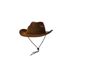 cowboy hat fancy dress