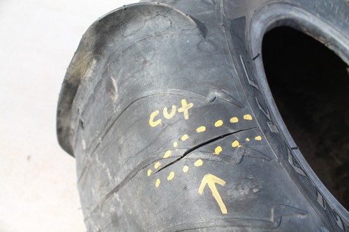 (2) AMS Sand Snake Tires 9" 20x11-9 Tire 20-11-9 Damage, see pictures 20 11 9 - Foto 3 di 11