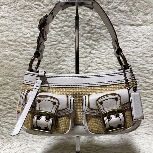 Coach Soho Mini One Shoulder Bag Leather Raffia Brown Shipped from Japan