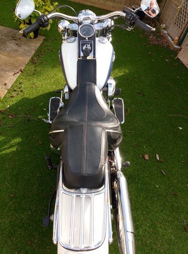 Harley Davidson Soft Tail Deluxe - Picture 13 of 20