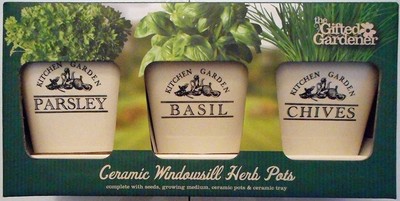 Indoor Ceramic Windowsill Herb Pots With Seeds Growing Medium