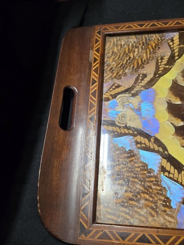 Antique Brazilian Wood and Glass Tea Tray with Inlaid Real Butterfly Wings! - Picture 4 of 17