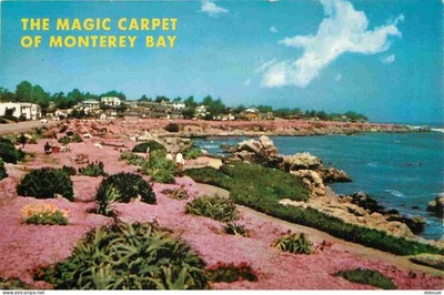 Postkarte - USA - Pacific Grove - The magic carpet of red and pink co
