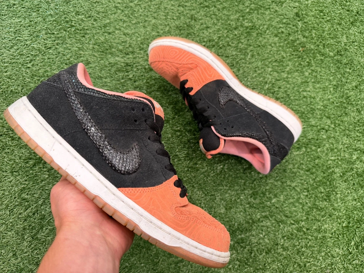 Nike Premier x Dunk Pro SB Low Fish Ladder - огромный выбор по