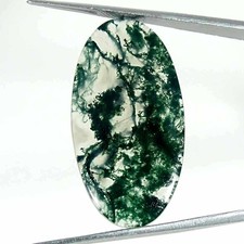 16.20Cts Natural Green Moss Agate Oval Cabochon Loose Gemstone 17x34x3mm