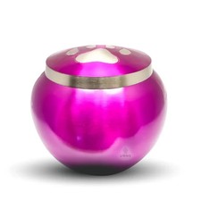 Lavender Brass Pet Memorial Urn   Medium Size with Single Paw Print