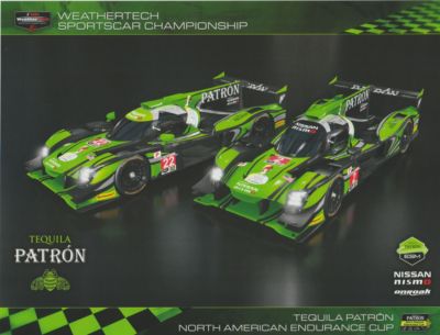 2017 Extreme Speed Motorsports Nissan DPi IMSA WTSC Hero Card