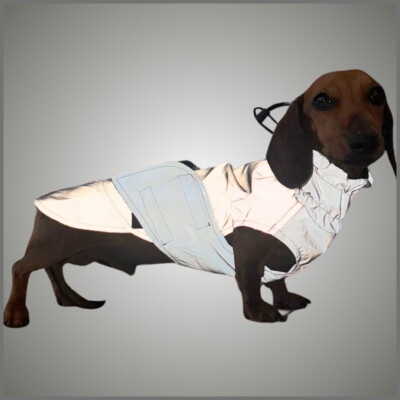 Sausage Dog Coat Glow Getter Reflective Light Up LED Dachshund Coat  UK - Main Image