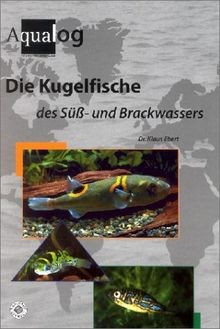 Die Kugelfische des Süß- und Brackwassers von Ebert, Klaus | Buch | Zustand gut