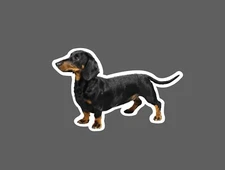 Dachshund Sticker Dog Friend Waterproof Pet Family Gift NEW