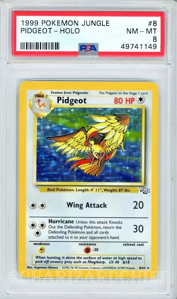 PIDGEOT 8/64 HOLO RARE JUNGLE SET COLLECTION 1999 POKEMON CARD