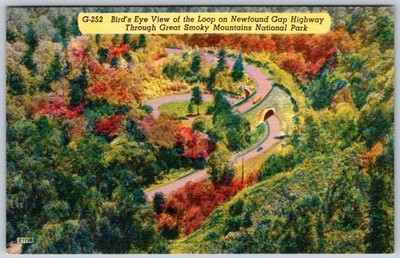 Smoky Mountains Newfound Gap Loop Over Linen Postcard Autumn Foliage NC