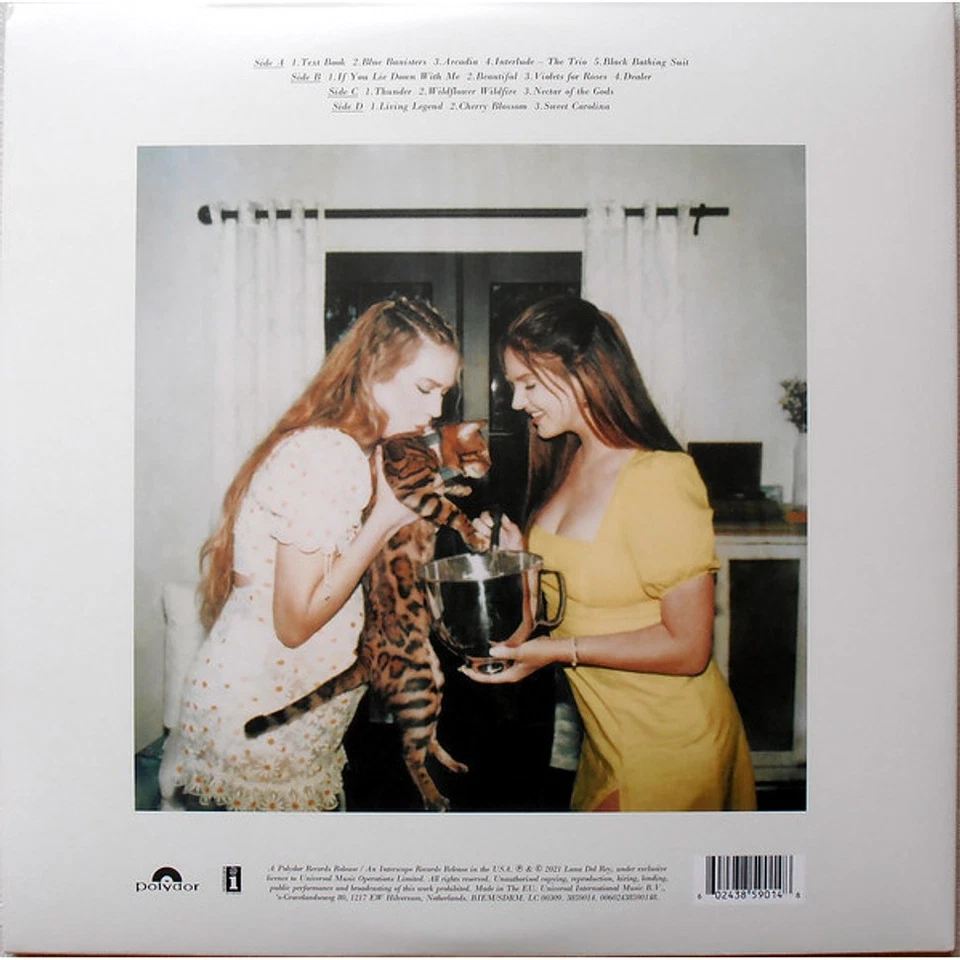 Lana Del Rey - Blue Banisters (Vinyl 2LP - 2021 - EU - Reissue) - Bild 3 von 4