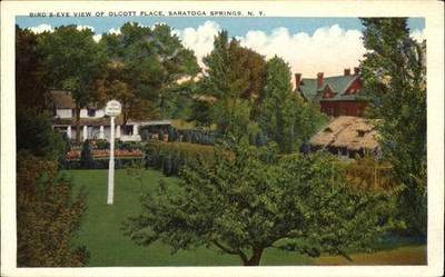 Birds eye view Olcott Place ~ Saratoga Springs NY New York ~ 1920s ~ birdhouse