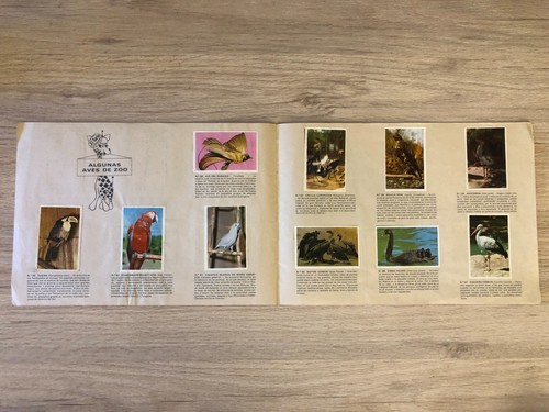 436- Album Cromos Completo ANIMALES de ZOO de Cervezas EL TURIA 1968 stickers - Imagen 10 de 11