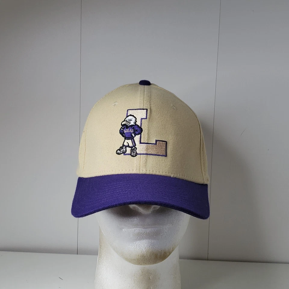 Loras College Duhawks Mike Dri Fit Dewey Embroidered Logo Hat Baseball Cap NCAA - Image 2 of 4