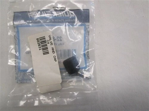 MERCURY QUICKSILVER VALVE AND CAP 22-802631 MARINE BOAT | eBay
