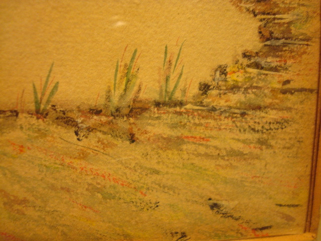 Picture 13 of 15