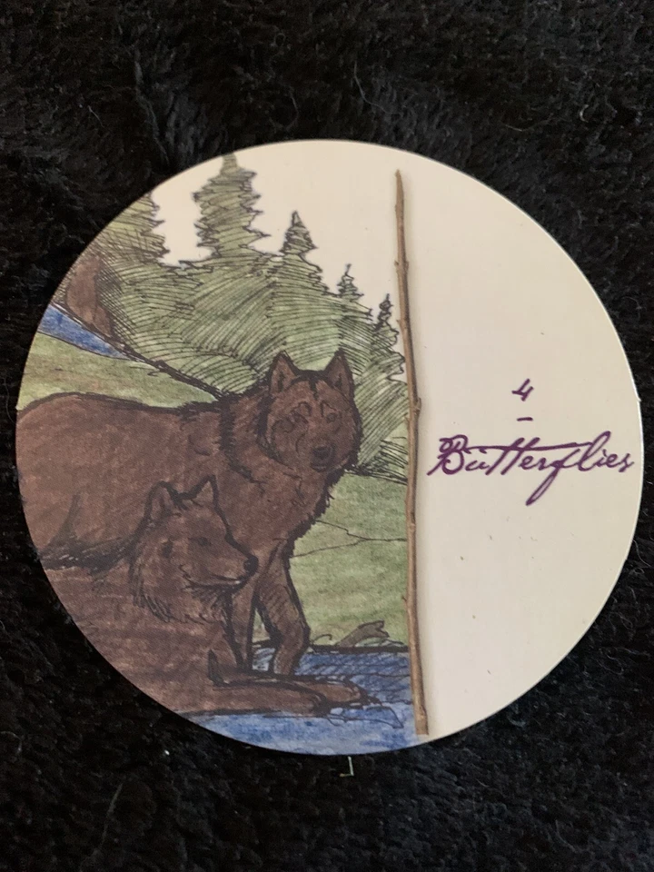 Tarjetas tribales indias americanas laminadas Apache Cherokee Sioux ❤️tw11j Foto 4 de 4