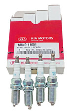4 St. Zündkerzen HYUNDAI Santa Fe H-1 KIA Carnival Magentis 1884011051 NGK 1637
