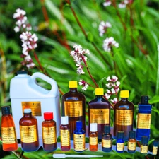 Spikenard Essential Oil - 100% PURE NATURAL - Sizes 3 ml to 1 oz - GLASS VIALS