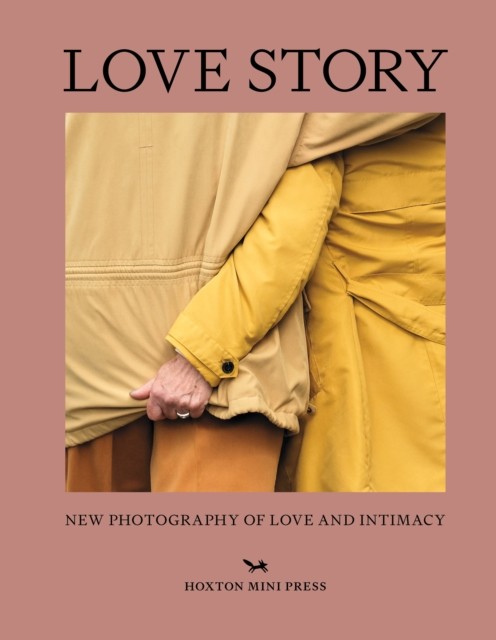 Love Story by Rachel Segal Hamilton (Hardback Book)