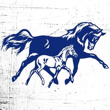 L219 Set 1 Adesivo Horsebox Trailer Cavalli-cavallo pony madre e figlio di razza