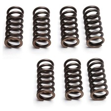 EBC Clutch Spring Set (7 PCS) Suzuki PE 175 1978 - 1982