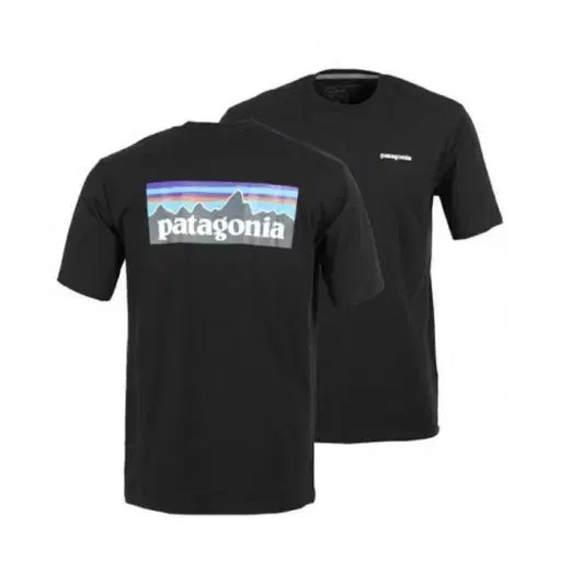 Patagonia Short Sleeve T-Shirt - Excellent Condition