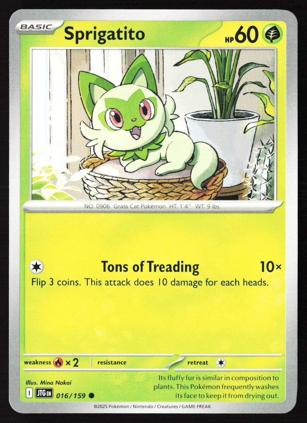 Sprigatito 016/159 SV09: Journey Together Pokemon
