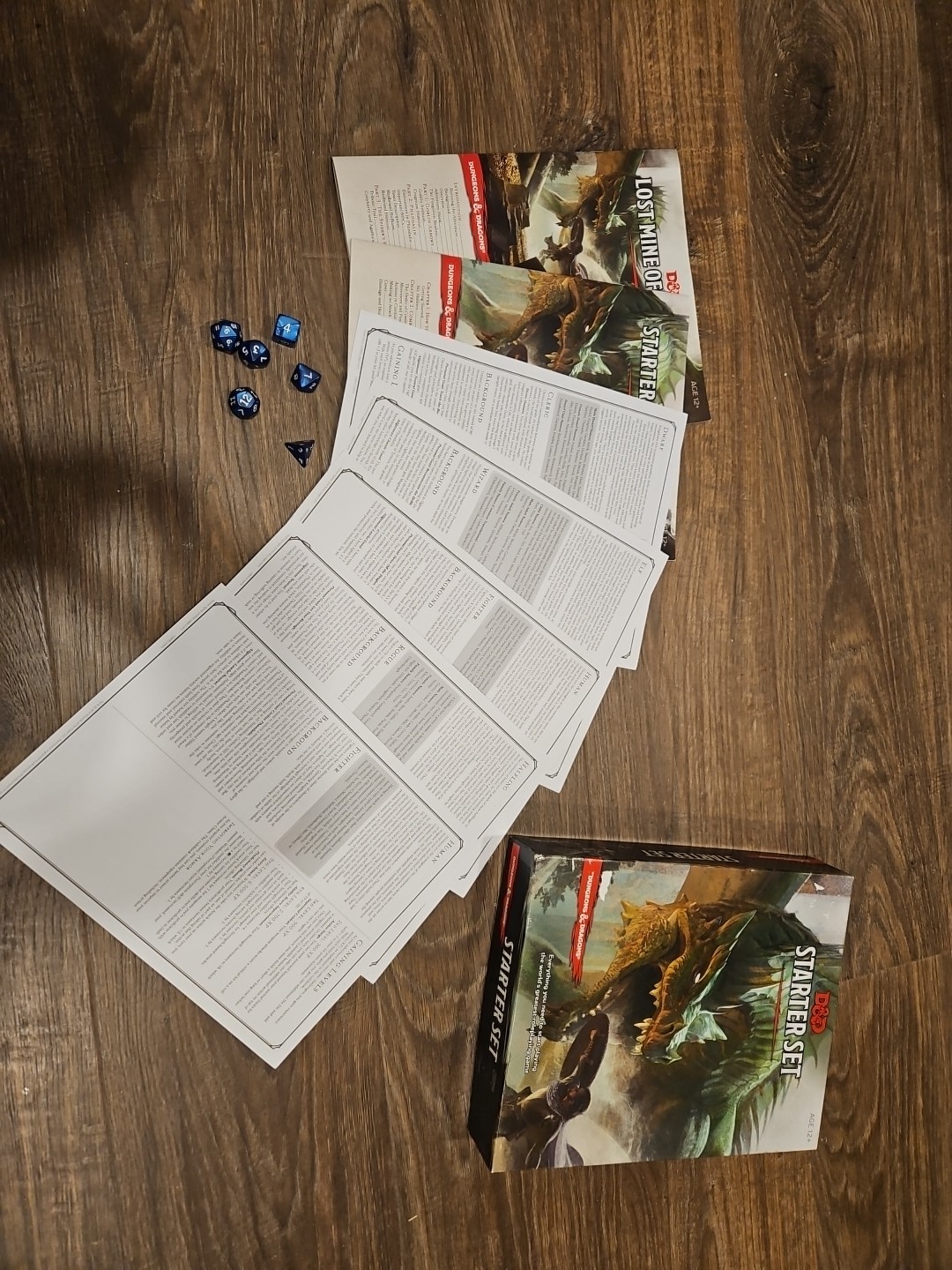 Dungeons Dragons Starter Lost Mine Of Phandelver Box Rulebook Five Blank Papers